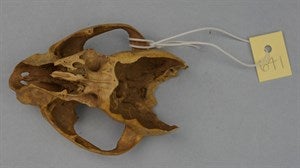 Image description is not available for DU1972.225